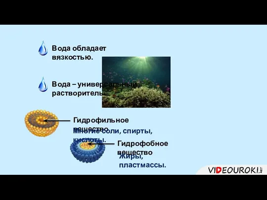 Вода обладает вязкостью. Вода – универсальный растворитель. Гидрофильное вещество Гидрофобное вещество Многие