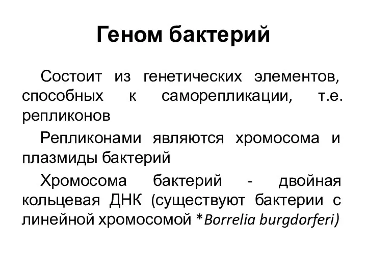 Геном бактерий Состоит из генетических элементов, способных к саморепликации, т.е. репликонов Репликонами