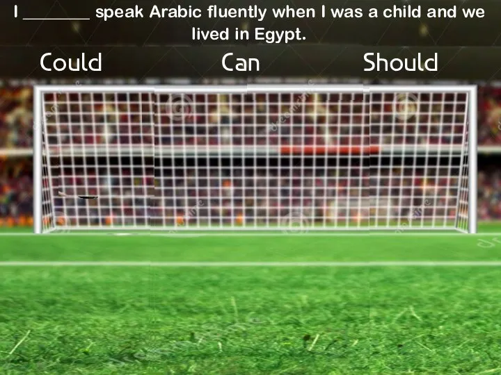 Should I ________ speak Arabic fluently when I was a child and