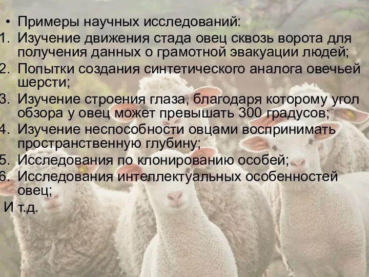 Примеры научных исследований: Изучение движения стада овец сквозь ворота для получения данных