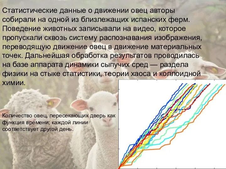 Статистические данные о движении овец авторы собирали на одной из близлежащих испанских