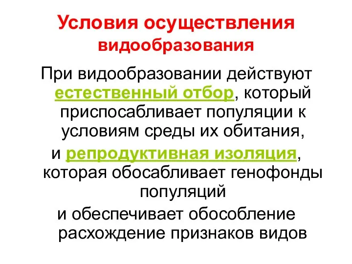 Условия осуществления видообразования При видообразовании действуют естественный отбор, который приспосабливает популяции к