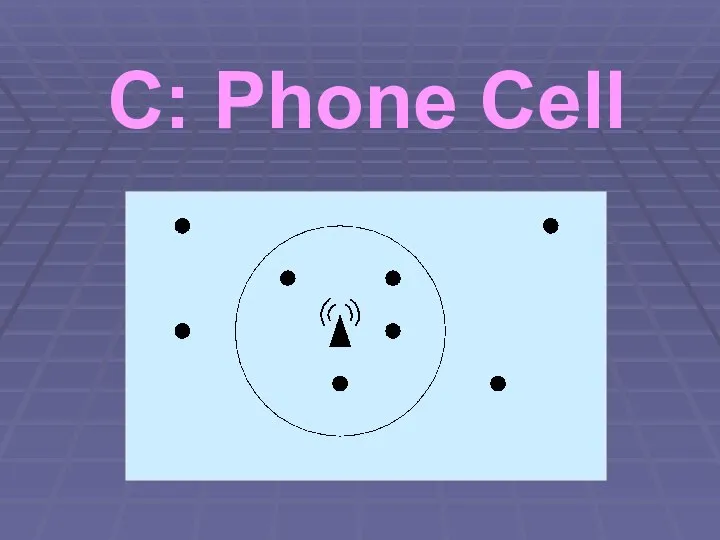 C: Phone Cell