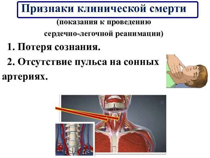 Признаки клинической смерти (показания к проведению сердечно-легочной реанимации) 1. Потеря сознания. 2.