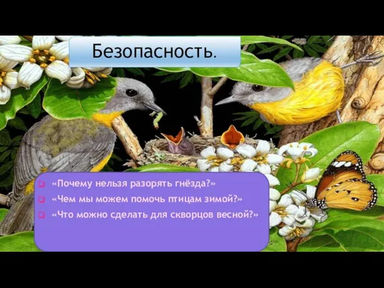 Безопасность. «Почему нельзя разорять гнёзда?» «Чем мы можем помочь птицам зимой?» «Что