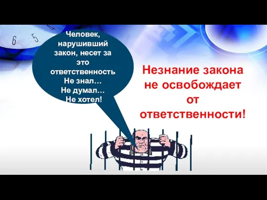 Человек, нарушивший закон, несет за это ответственность Не знал… Не думал… Не