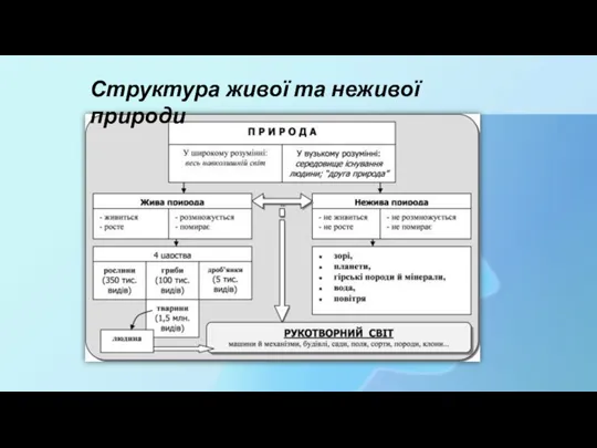 Структура живої та неживої природи