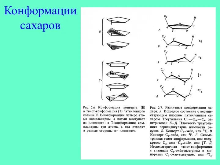 Конформации сахаров