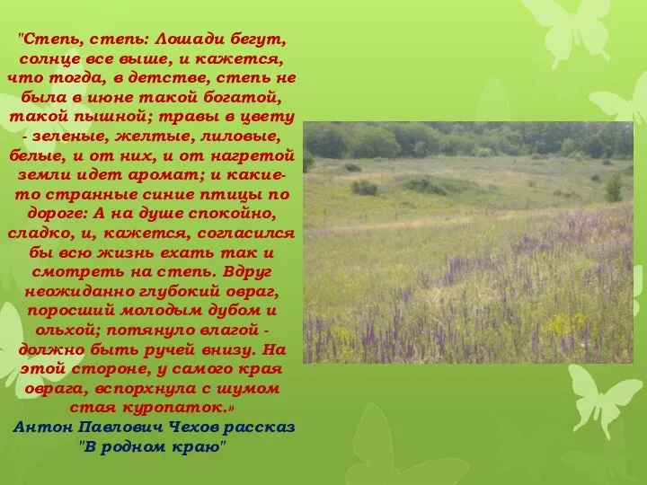 "Степь, степь: Лошади бегут, солнце все выше, и кажется, что тогда, в