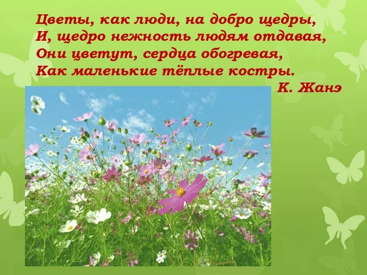 Цветы, как люди, на добро щедры, И, щедро нежность людям отдавая, Они