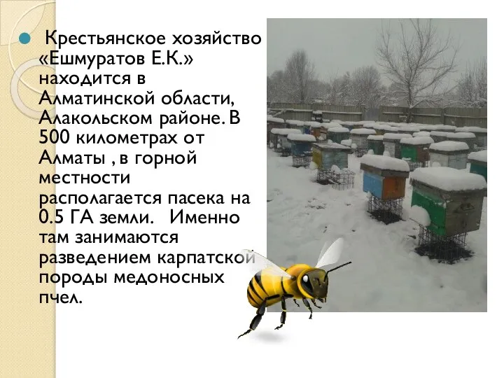 Крестьянское хозяйство «Ешмуратов Е.К.» находится в Алматинской области, Алакольском районе. В 500