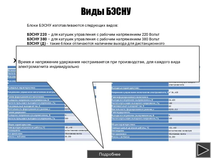 Виды БЭСНУ Характеристики БЭСНУ220 Блоки БЭСНУ изготавливаются следующих видов: БЭСНУ 220 –