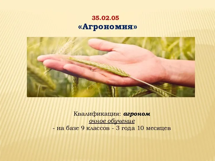 35.02.05 «Агрономия» Квалификация: агроном очное обучение - на базе 9 классов - 3 года 10 месяцев