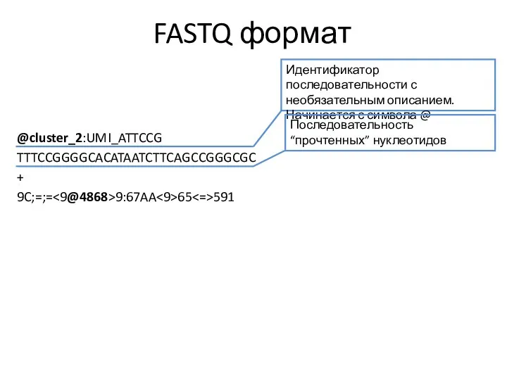 FASTQ формат @cluster_2:UMI_ATTCCG TTTCCGGGGCACATAATCTTCAGCCGGGCGC + 9C;=;= 9:67AA 65 591 Идентификатор последовательности с