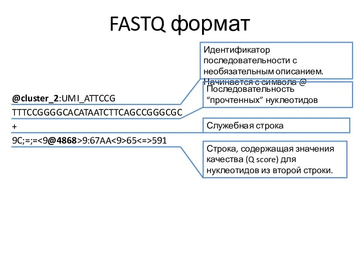 FASTQ формат @cluster_2:UMI_ATTCCG TTTCCGGGGCACATAATCTTCAGCCGGGCGC + 9C;=;= 9:67AA 65 591 Идентификатор последовательности с