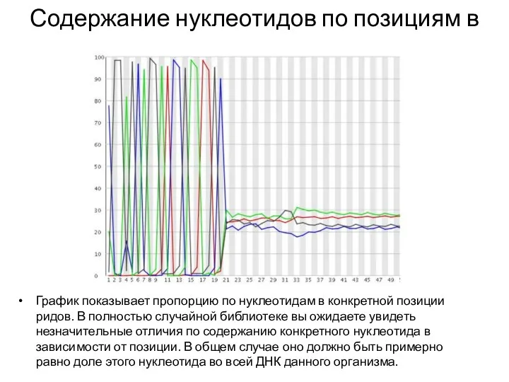 Содержание нуклеотидов по позициям в ридах График показывает пропорцию по нуклеотидам в