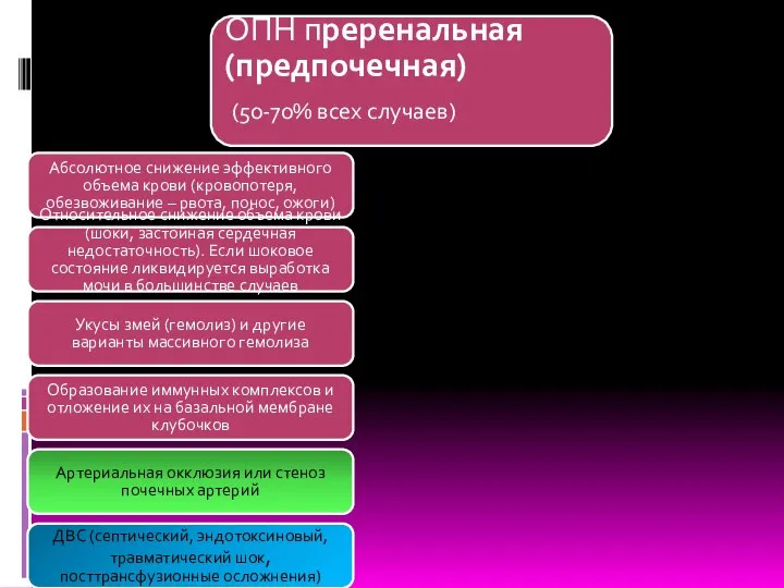 ОПН преренальная (предпочечная) (50-70% всех случаев) Абсолютное снижение эффективного объема крови (кровопотеря,