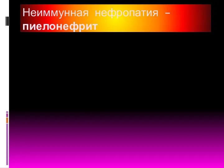 Неиммунная нефропатия – пиелонефрит Заболевание мочевыводящих путей и паренхимы почек. Проникновение инфекционных