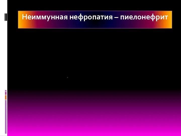 Неиммунная нефропатия – пиелонефрит Мочевой синдром – выраженная лейкоцитурия, микрогематурия, умеренная протеинурия,