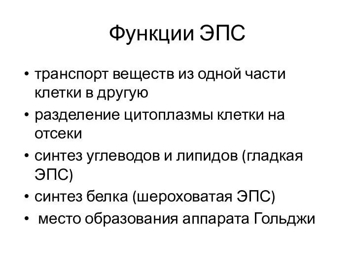 Функции ЭПС транспорт веществ из одной части клетки в другую разделение цитоплазмы