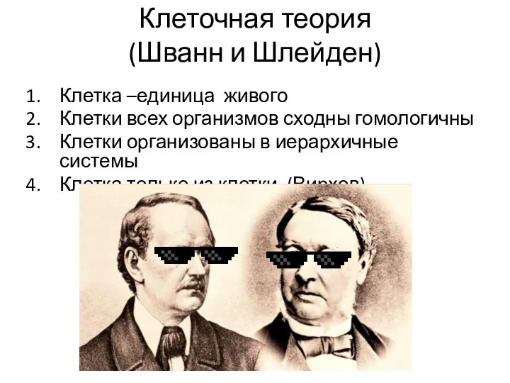 Клеточная теория (Шванн и Шлейден) Клетка –единица живого Клетки всех организмов сходны