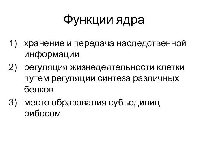 Функции ядра хранение и передача наследственной информации регуляция жизнедеятельности клетки путем регуляции