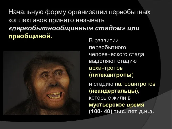 Начальную форму организации первобытных коллективов принято называть «первобытнообщинным стадом» или праобщиной. В