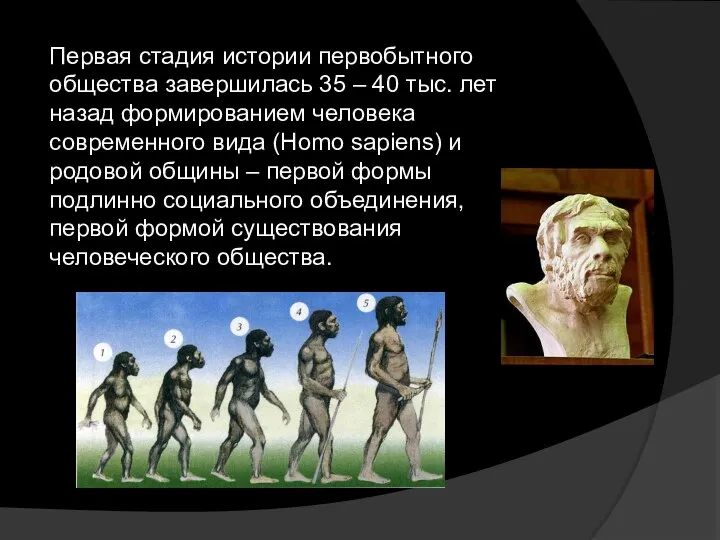 Первая стадия истории первобытного общества завершилась 35 – 40 тыс. лет назад