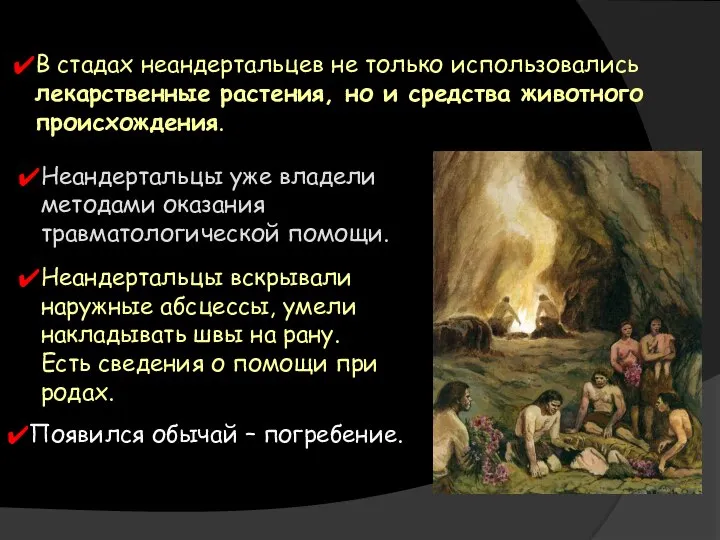 В стадах неандертальцев не только использовались лекарственные растения, но и средства животного