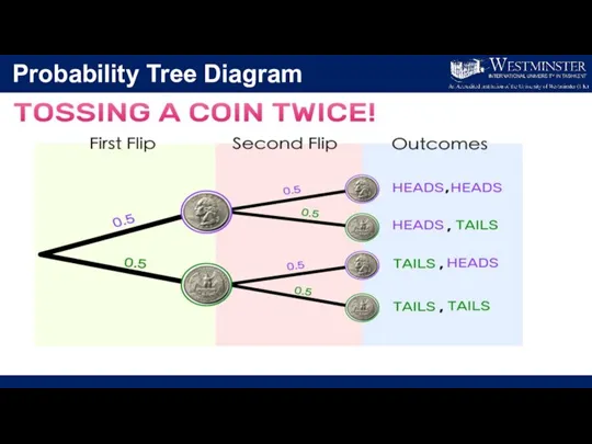 Probability Tree Diagram