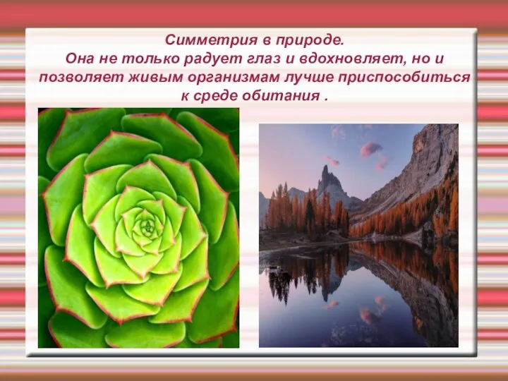 Симметрия в природе. Она не только радует глаз и вдохновляет, но и