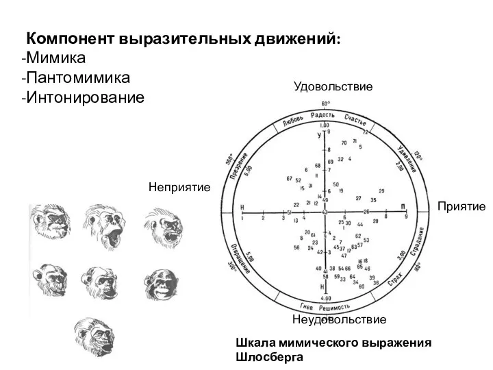 Компонент выразительных движений: Мимика Пантомимика Интонирование Шкала мимического выражения Шлосберга Неприятие Приятие Удовольствие Неудовольствие