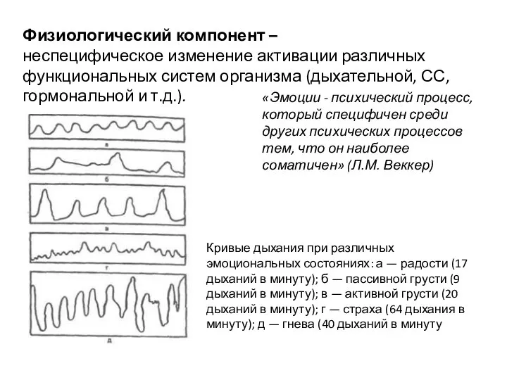 Физиологический компонент – неспецифическое изменение активации различных функциональных систем организма (дыхательной, СС,