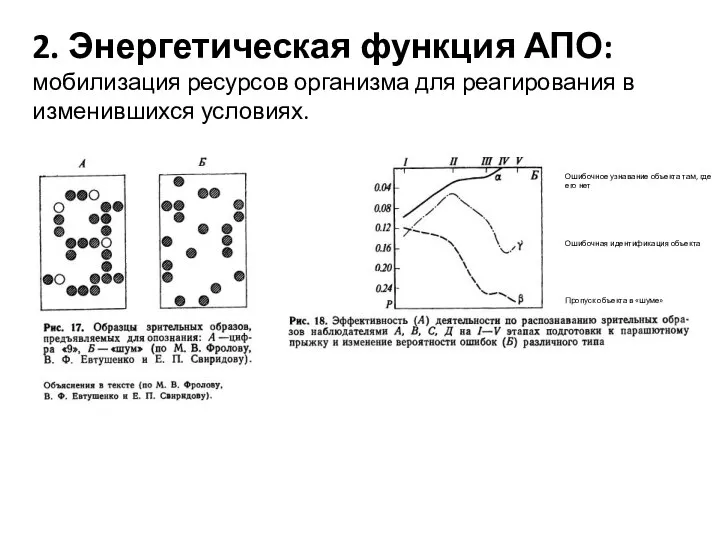 2. Энергетическая функция АПО: мобилизация ресурсов организма для реагирования в изменившихся условиях.