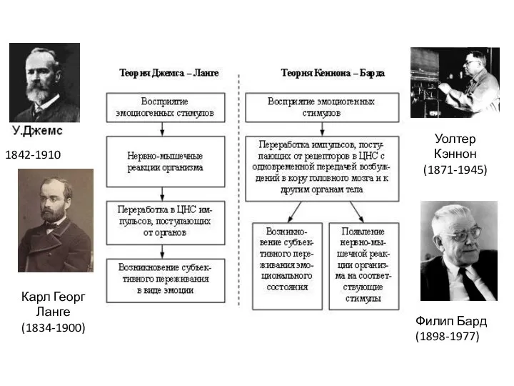 1842-1910 Карл Георг Ланге (1834-1900) Уолтер Кэннон (1871-1945) Филип Бард (1898-1977)