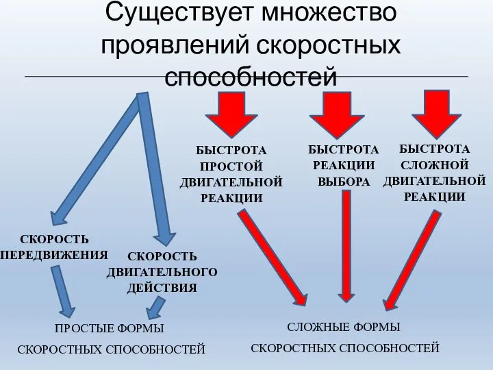 Существует множество проявлений скоростных способностей СКОРОСТЬ ПЕРЕДВИЖЕНИЯ СКОРОСТЬ ДВИГАТЕЛЬНОГО ДЕЙСТВИЯ БЫСТРОТА ПРОСТОЙ