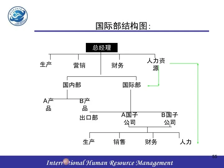 国际部结构图： 总经理 生产 营销 财务 人力资源 国内部 国际部 A产品 B产品 出口部 A国子公司