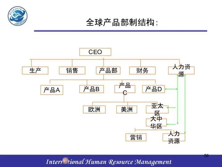 全球产品部制结构： CEO 生产 销售 产品部 财务 人力资源 产品A 产品B 产品C 产品D 欧洲