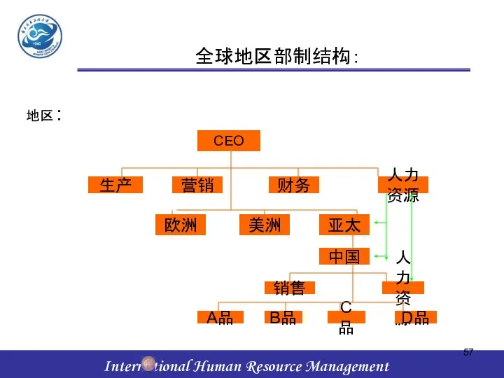 全球地区部制结构： 地区： CEO 生产 营销 财务 人力资源 欧洲 美洲 亚太 中国 销售