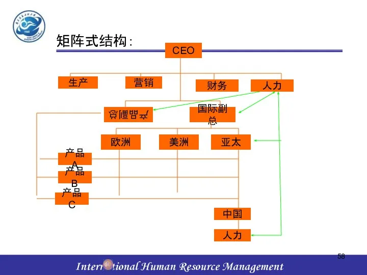 矩阵式结构： CEO 生产 营销 财务 人力 产品副总 国际副总 欧洲 美洲 亚太 产品A 产品B 产品C 中国 人力