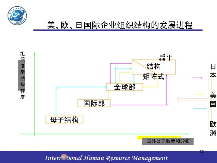 美、欧、日国际企业组织结构的发展进程 组织 复杂 结构 程度 国外公司数量和分布 母子结构 国际部 全球部 扁平结构 矩阵式 日本 美国 欧洲