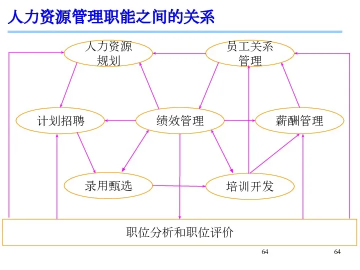 人力资源管理职能之间的关系 人力资源规划 员工关系管理 绩效管理 薪酬管理 计划招聘 录用甄选 培训开发 职位分析和职位评价