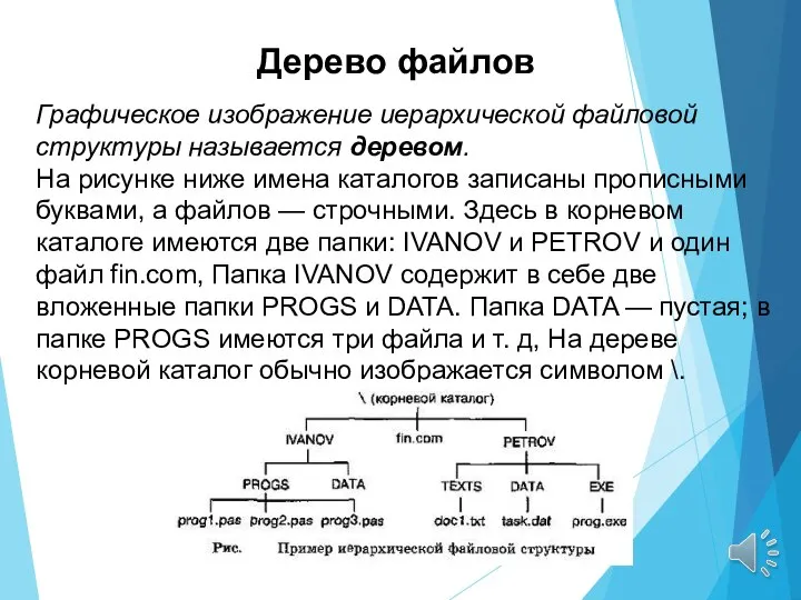 Графическое изображение иерархической файловой структуры называется деревом. На рисунке ниже имена каталогов
