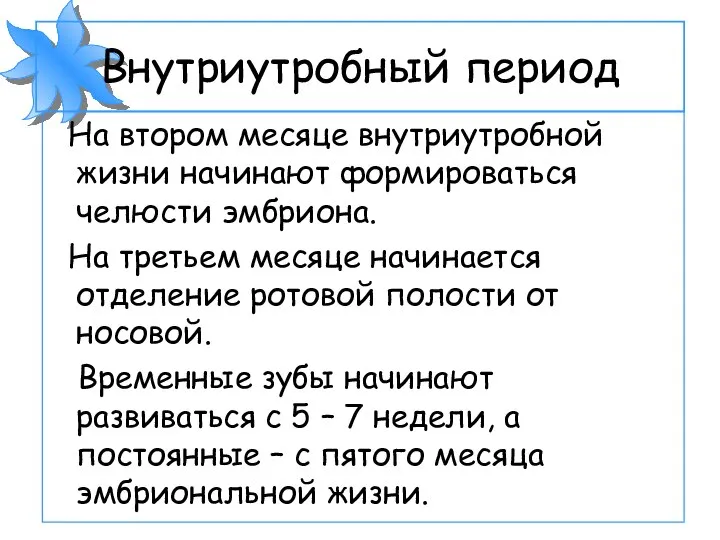 Внутриутробный период На втором месяце внутриутробной жизни начинают формироваться челюсти эмбриона. На