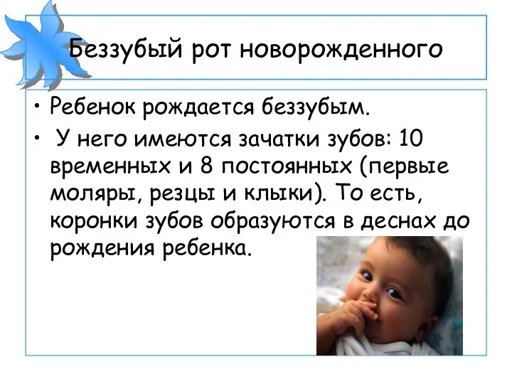 Беззубый рот новорожденного Ребенок рождается беззубым. У него имеются зачатки зубов: 10