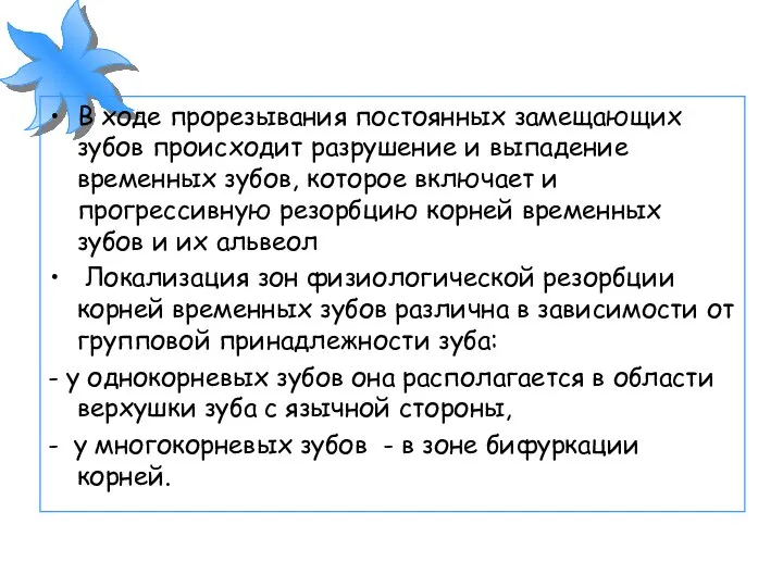 В ходе прорезывания постоянных замещающих зубов происходит разрушение и выпадение временных зубов,