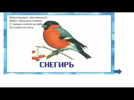 Красногрудый, чернокрылый, Любит зёрнышки клевать, С первым снегом на рябине Он появится опять