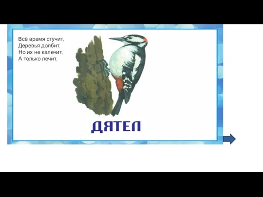 Всё время стучит, Деревья долбит. Но их не калечит, А только лечит.