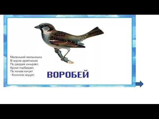 Маленький мальчишка В сером армячишке По дворам шныряет, Крохи подбирает, По ночам кочует - Коноплю ворует.