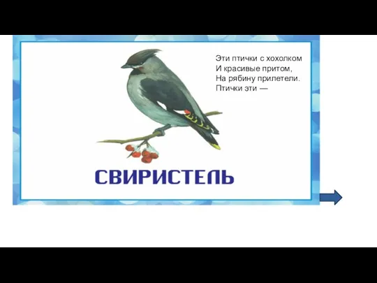 Эти птички с хохолком И красивые притом, На рябину прилетели. Птички эти —